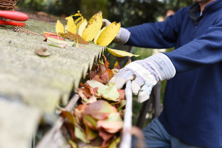 Adding Value to Your Home This Fall