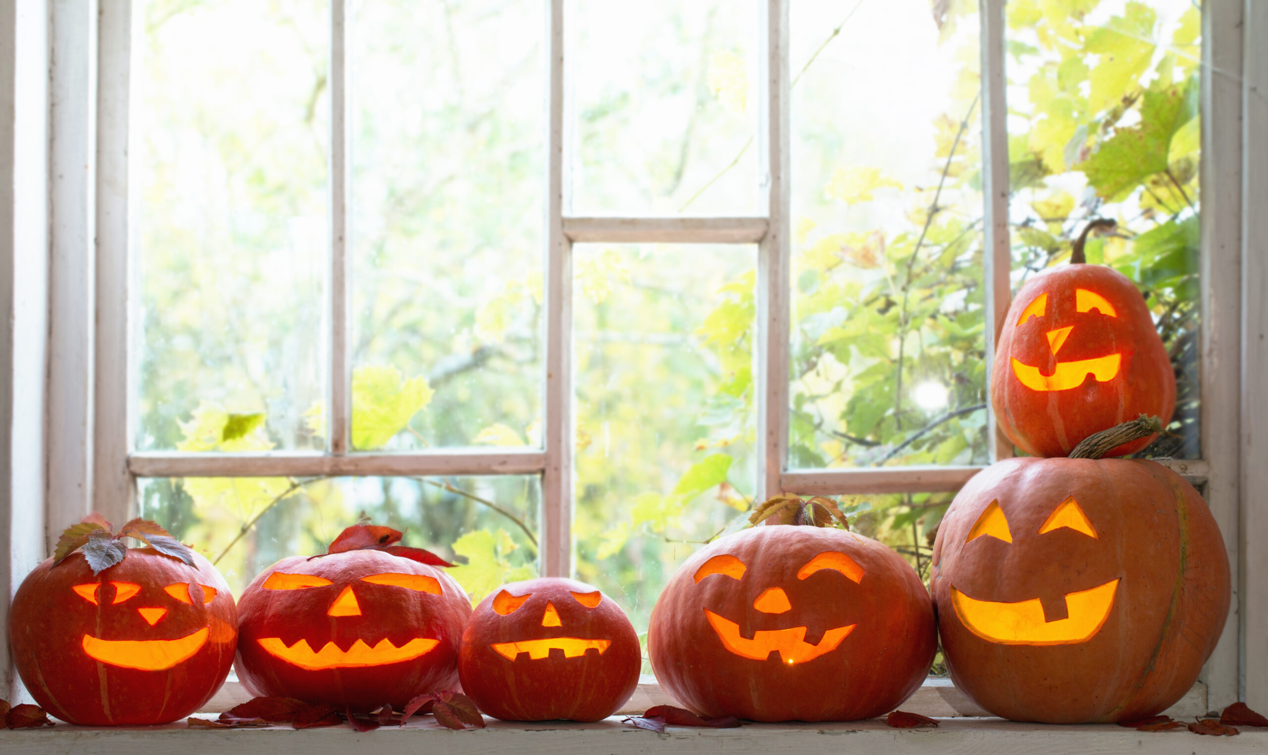 Don’t let the ghouls in through leaking windows this Halloween.