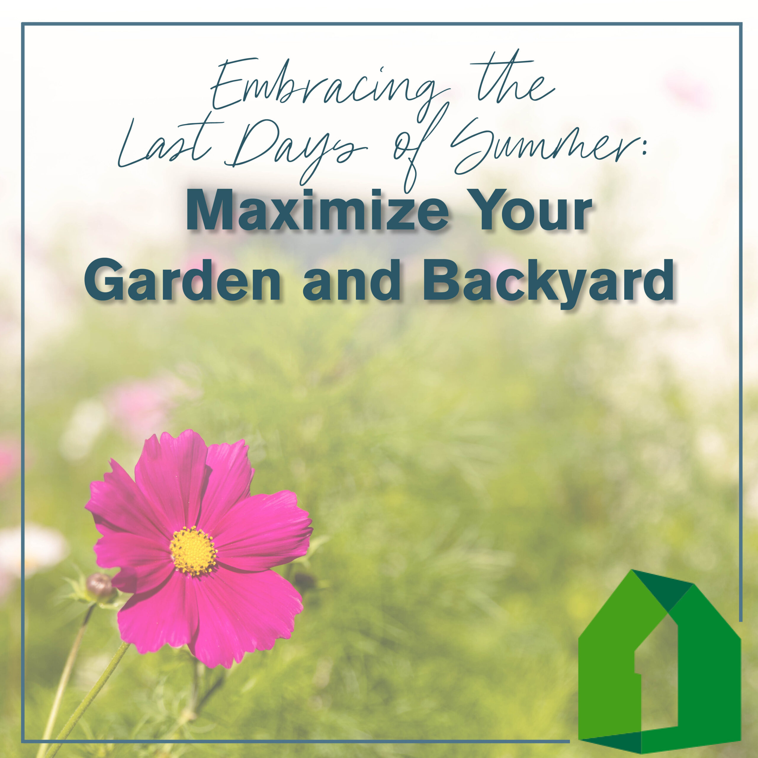 Embracing the Last Days of Summer: Maximize Your Garden and Backyard